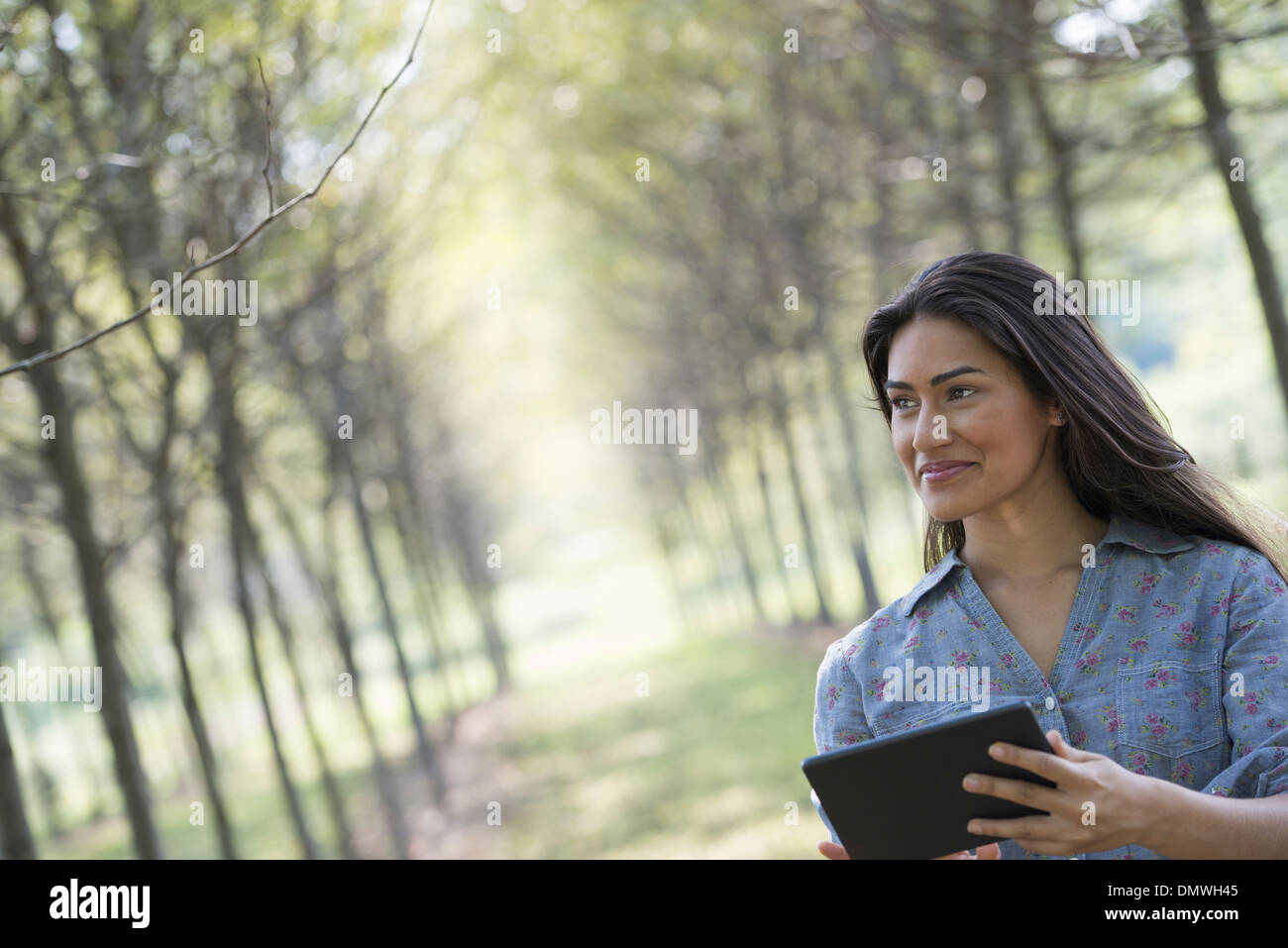 Une femme dans une avenue d'arbres tenant une tablette numérique. Banque D'Images