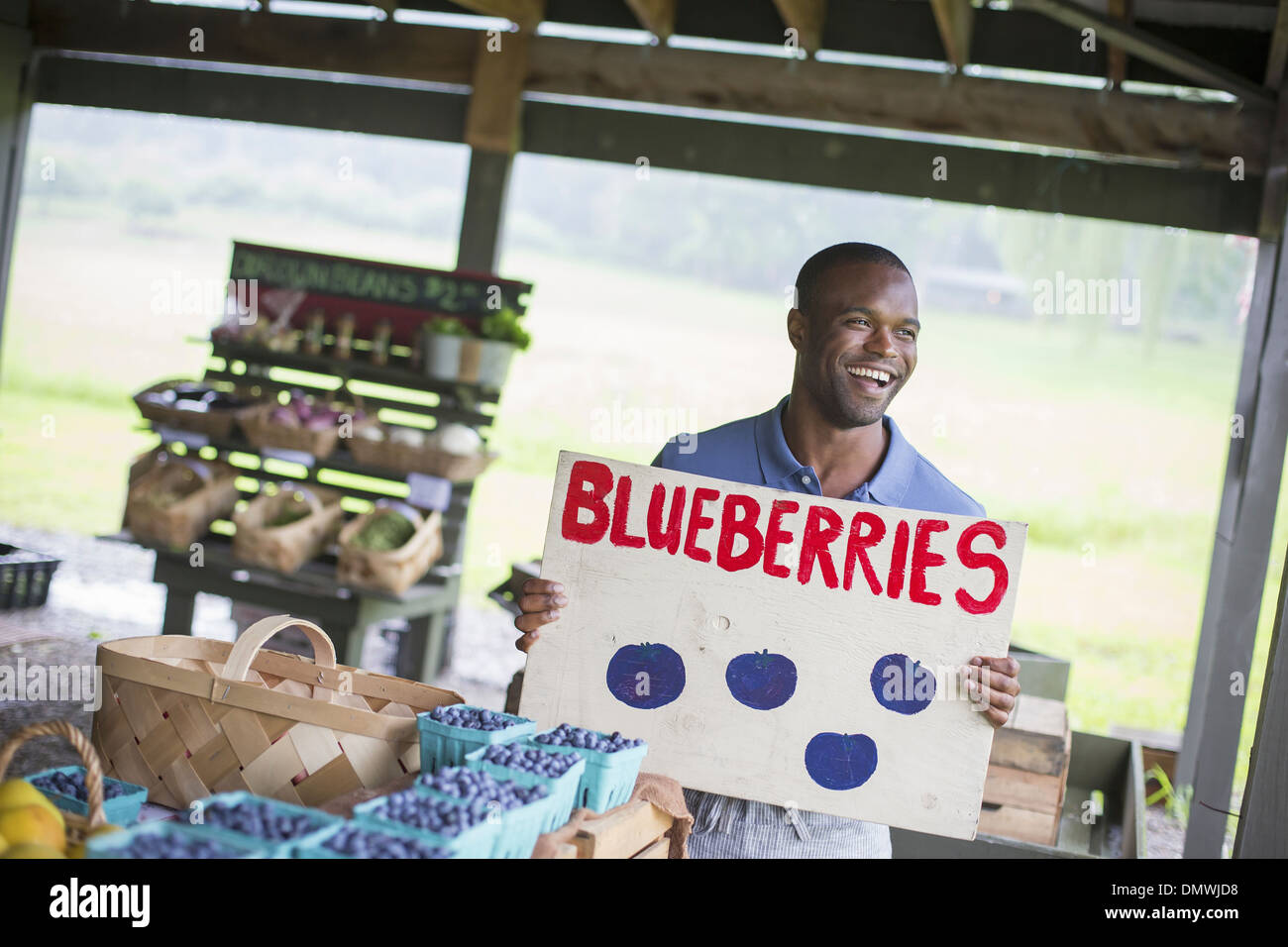 Une ferme de fruits et légumes biologiques. Une personne portant un signe de bleuets. Banque D'Images