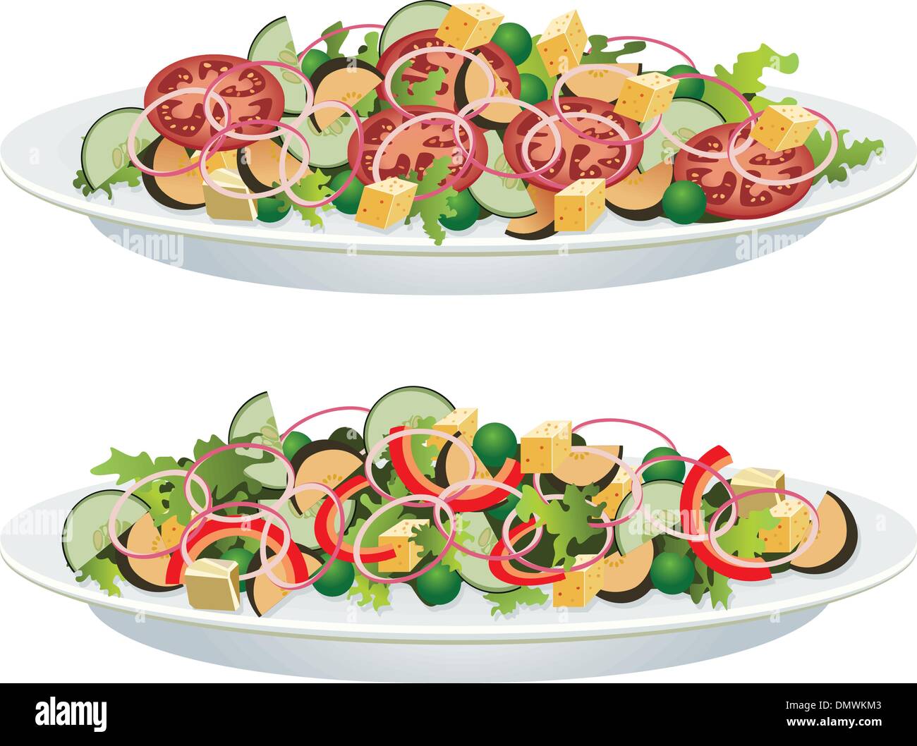 Les salades de légumes vecteur Illustration de Vecteur