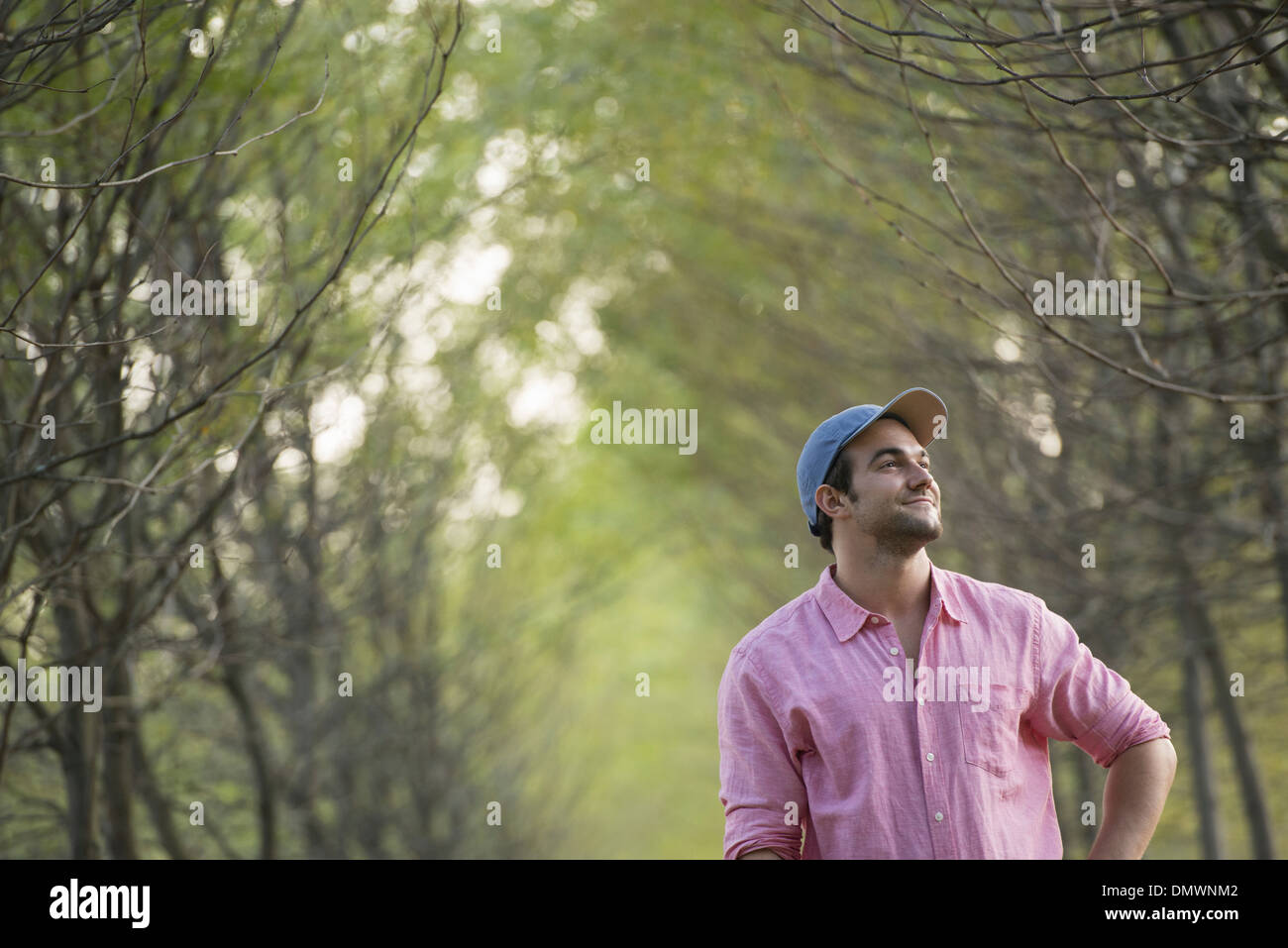 Un homme dans une avenue d'arbres à la hausse. Banque D'Images