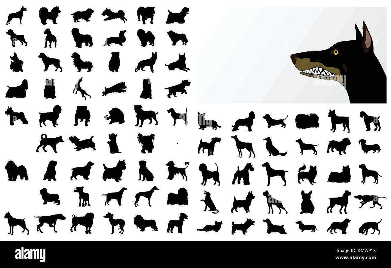 Collection de chiens Illustration de Vecteur