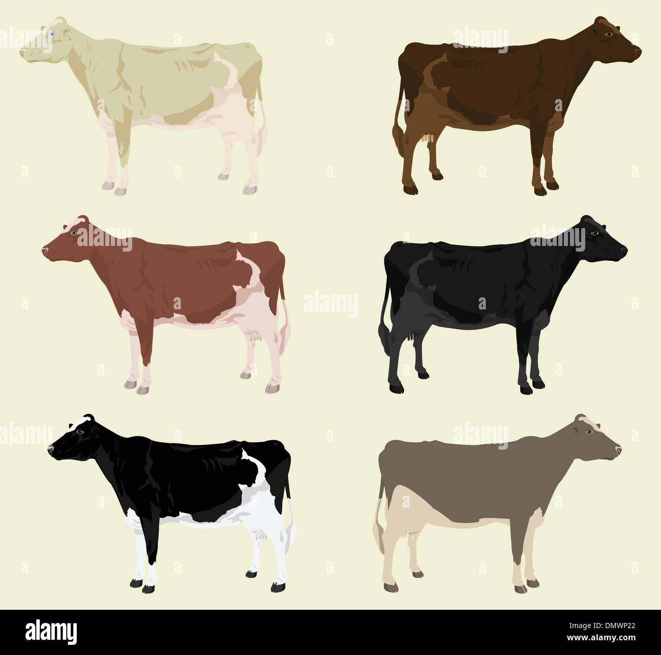 Cow3 Illustration de Vecteur