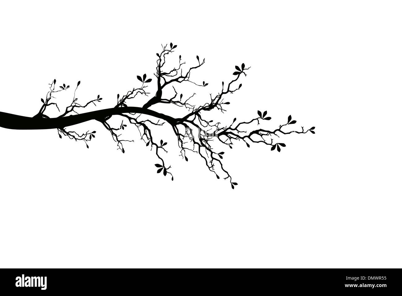 Branche de l'arbre de printemps Illustration de Vecteur