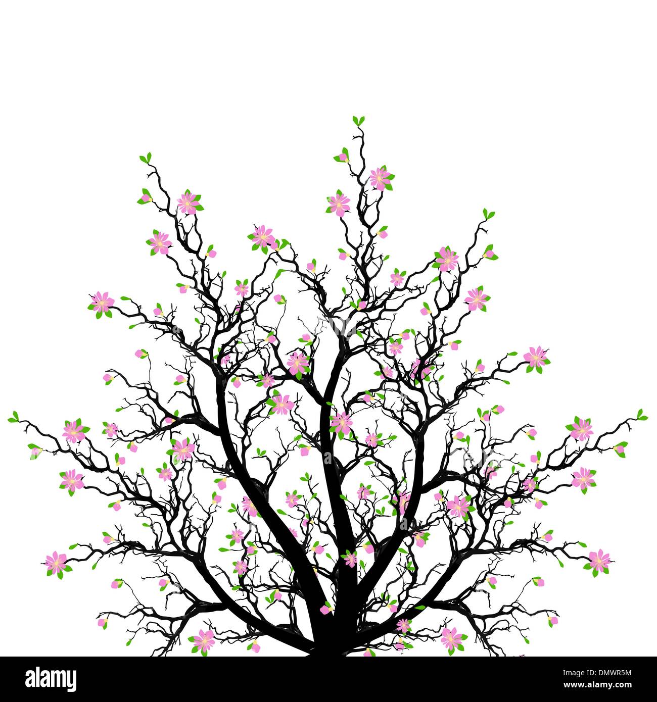 Arbre en fleurs au printemps Illustration de Vecteur