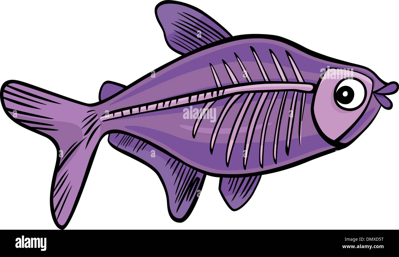 Cartoon x-ray fish Illustration de Vecteur