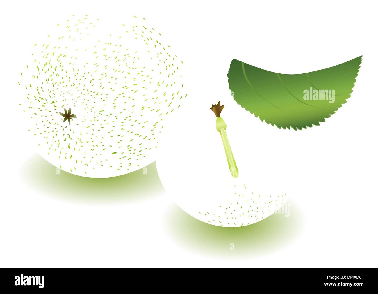 La pomme verte et la tranche avec la feuille Illustration de Vecteur