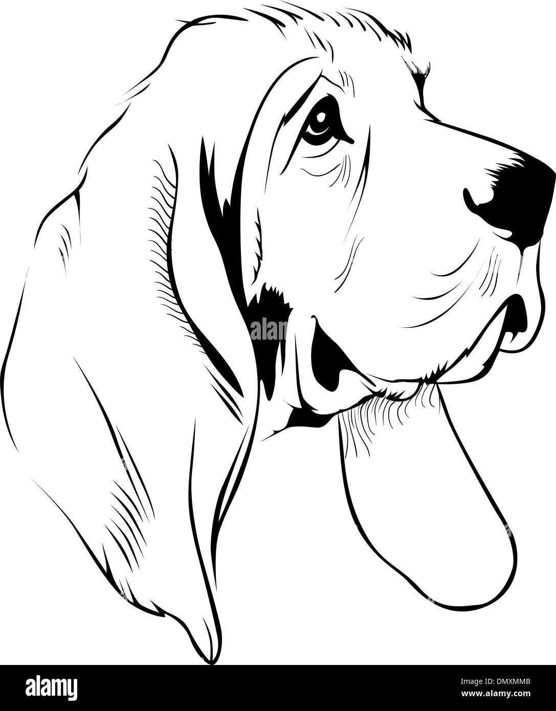 visage de chien Illustration de Vecteur