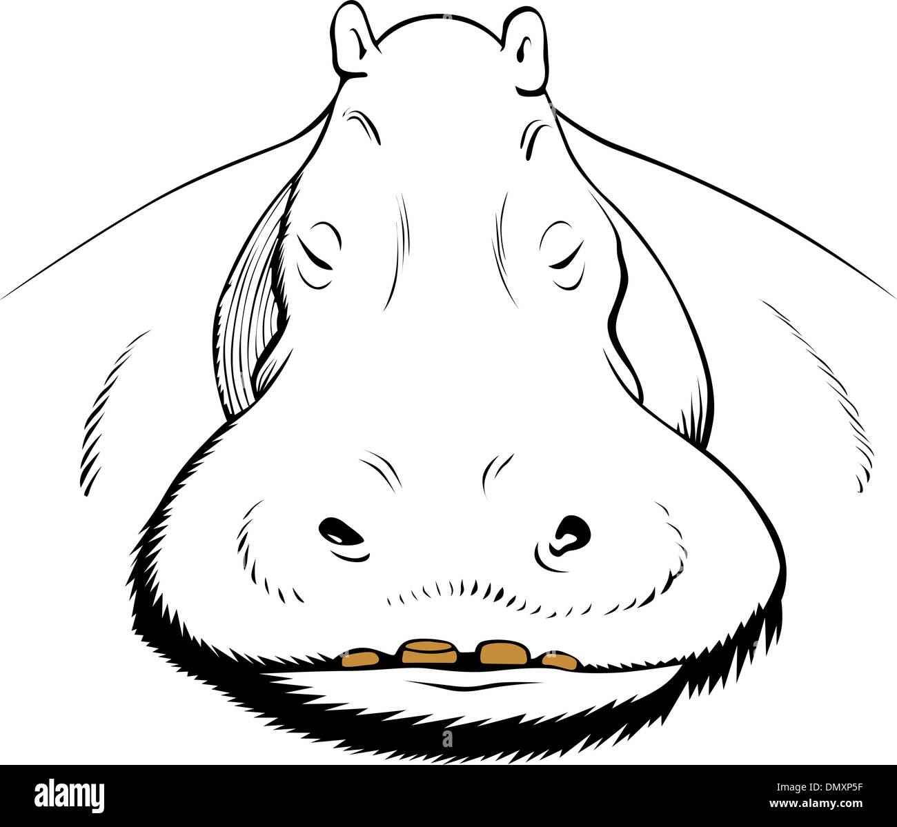 Visage d'hippopotame Illustration de Vecteur