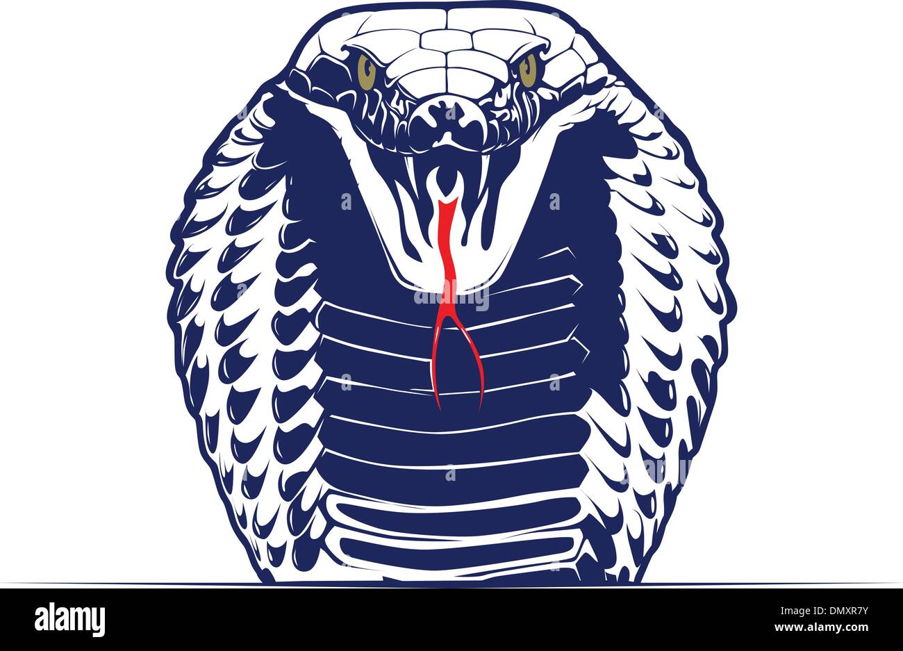 Tete De Serpent Dessin Realiste Cobra Banque d'images vectorielles - Alamy