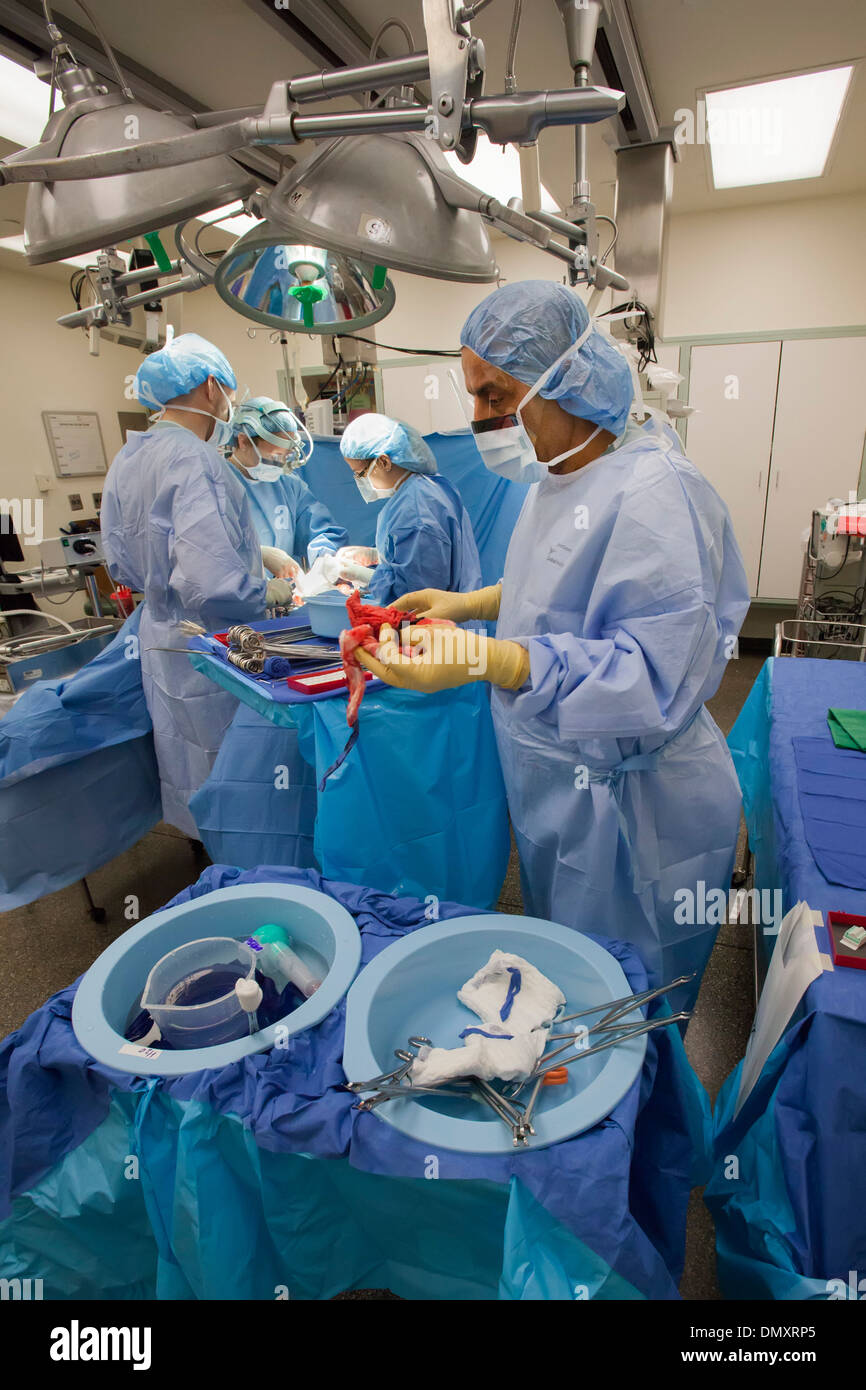 Chirurgiens pratiquent une hystérectomie sur une femme avec le cancer de l'endomètre. Banque D'Images
