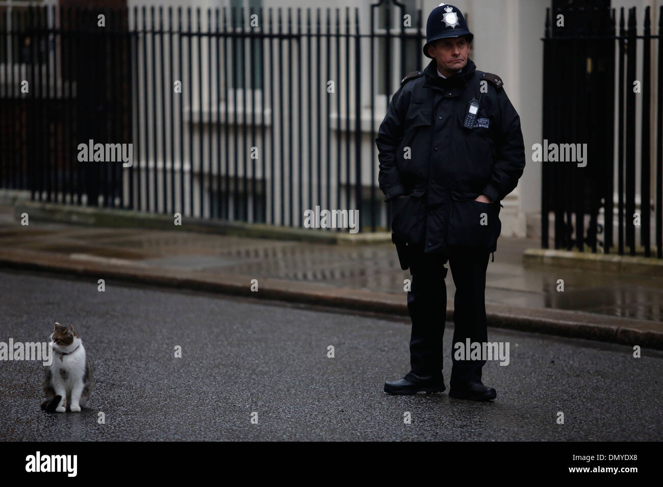Policier britannique et Larry le chat à Downing Street No:10, Downing Street à Londres, Grande-Bretagne, le 26 février 2013. Banque D'Images