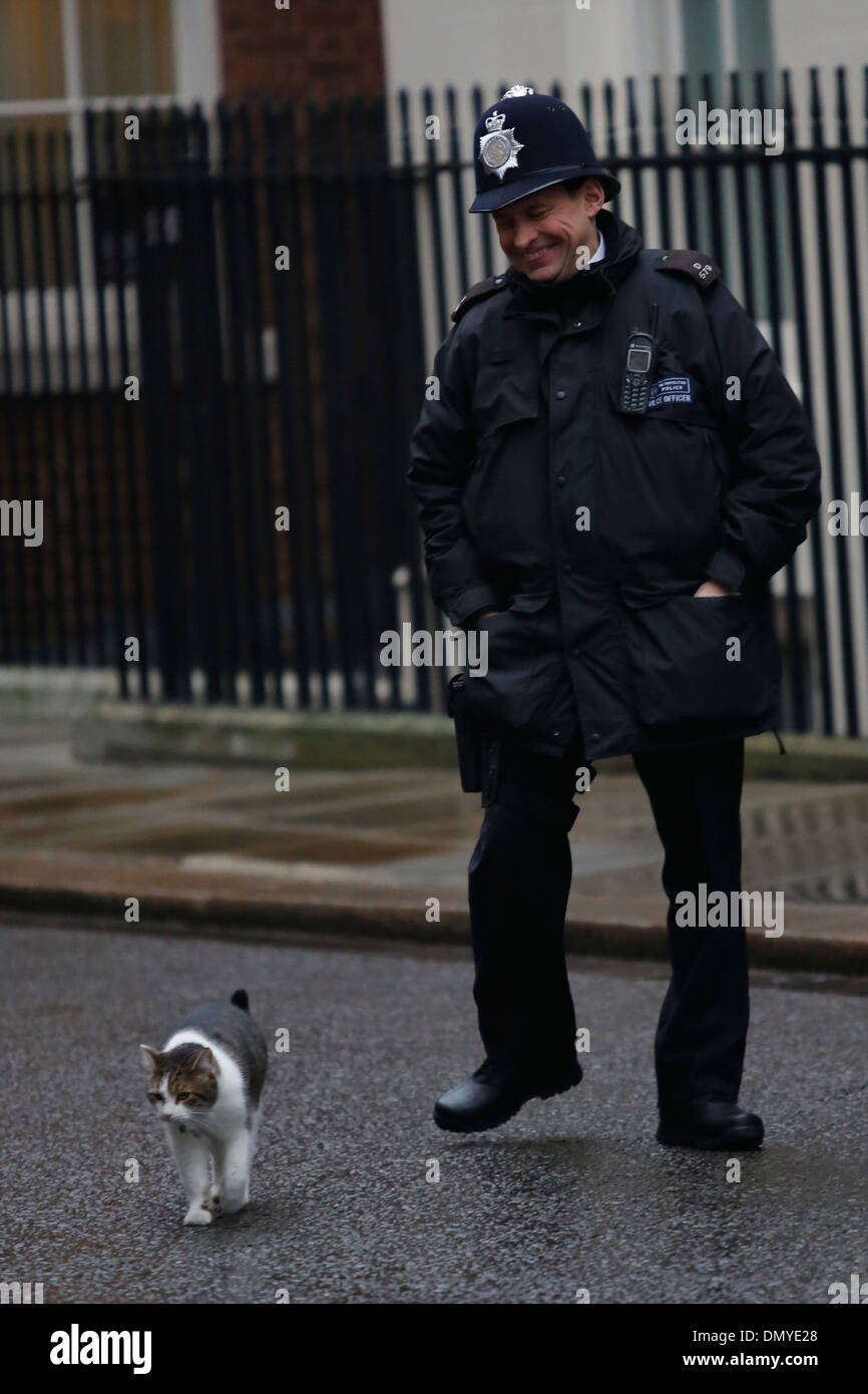 Policier britannique et Larry le chat à Downing Street No:10, Downing Street à Londres, Grande-Bretagne, le 26 février 2013. Banque D'Images
