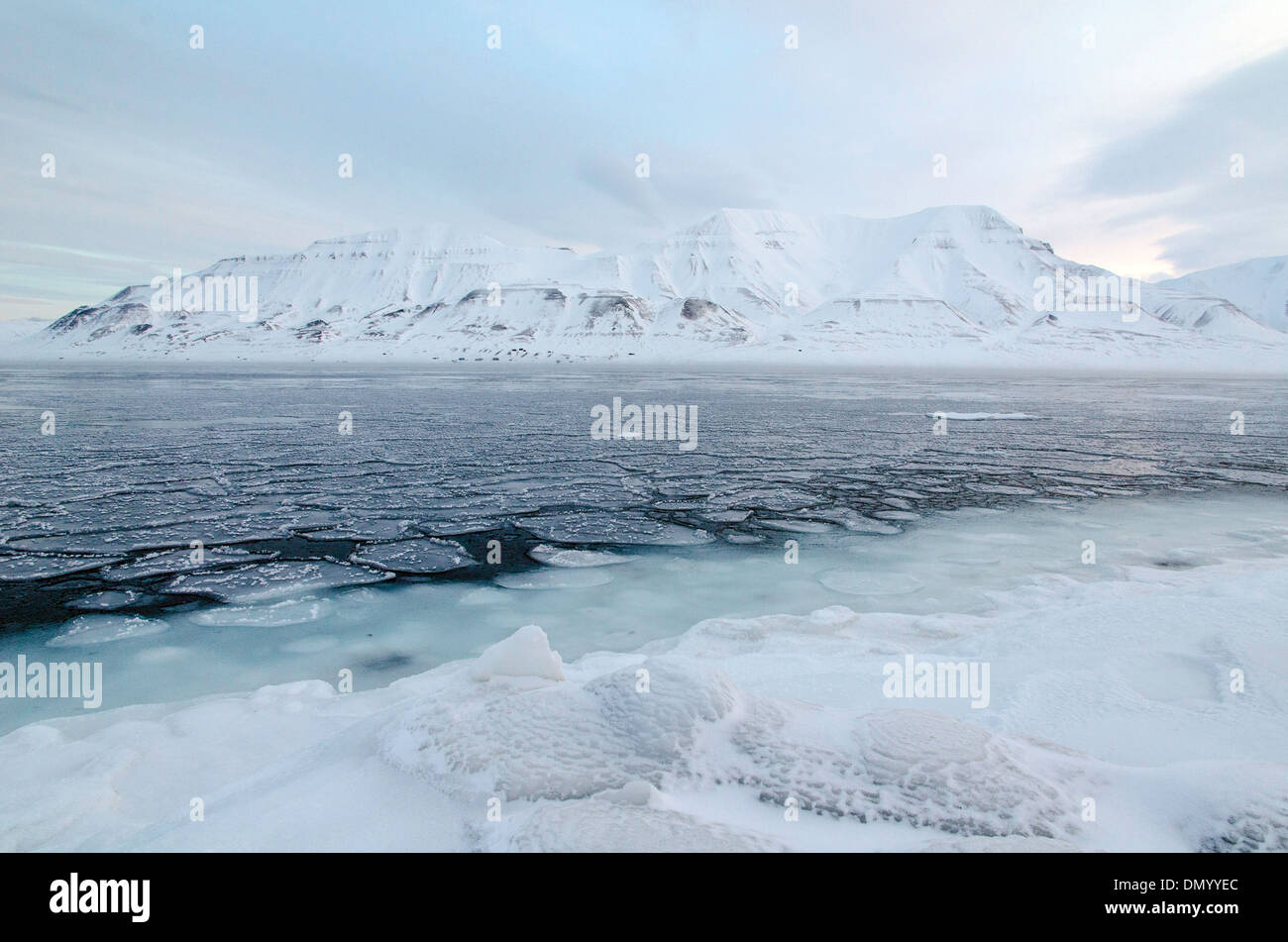 Les packs de glace de mer polaire Svalbard Norvège Scandinavie Banque D'Images