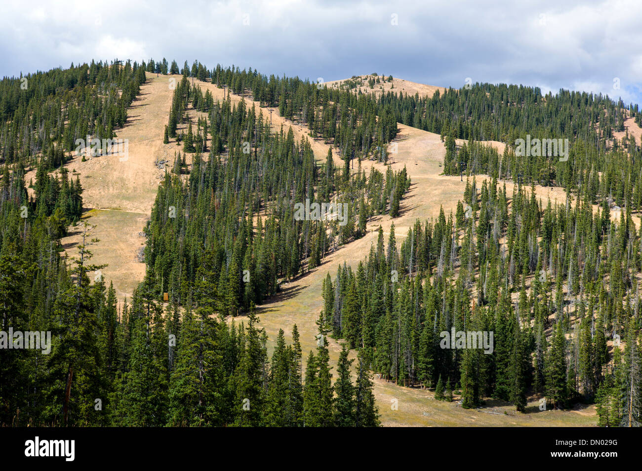 Vue d'été de snowboard et de ski, des sentiers de montagne monarque, Colorado, USA Banque D'Images