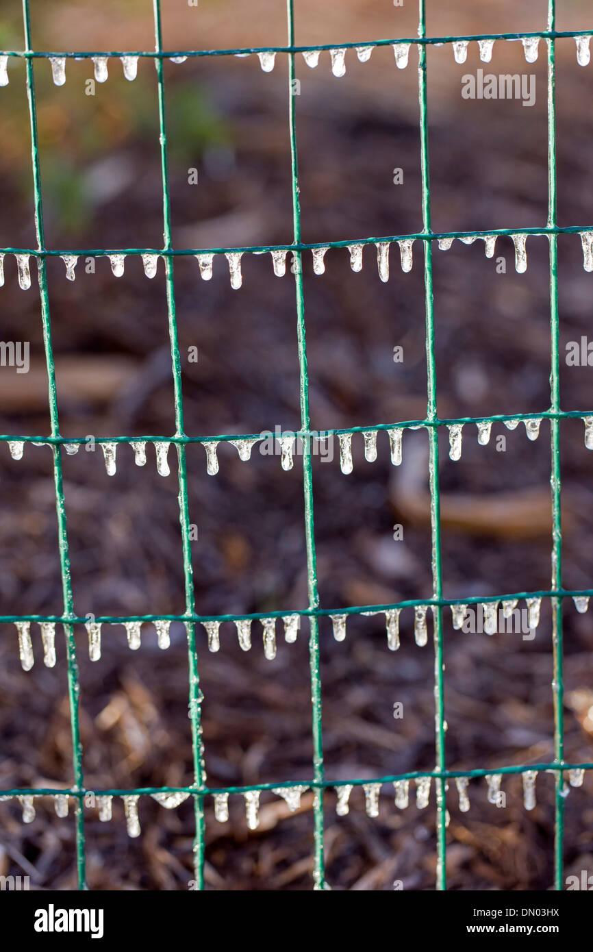 Close-up de gouttelettes d'eau bloqué sur un jardin clôture Banque D'Images