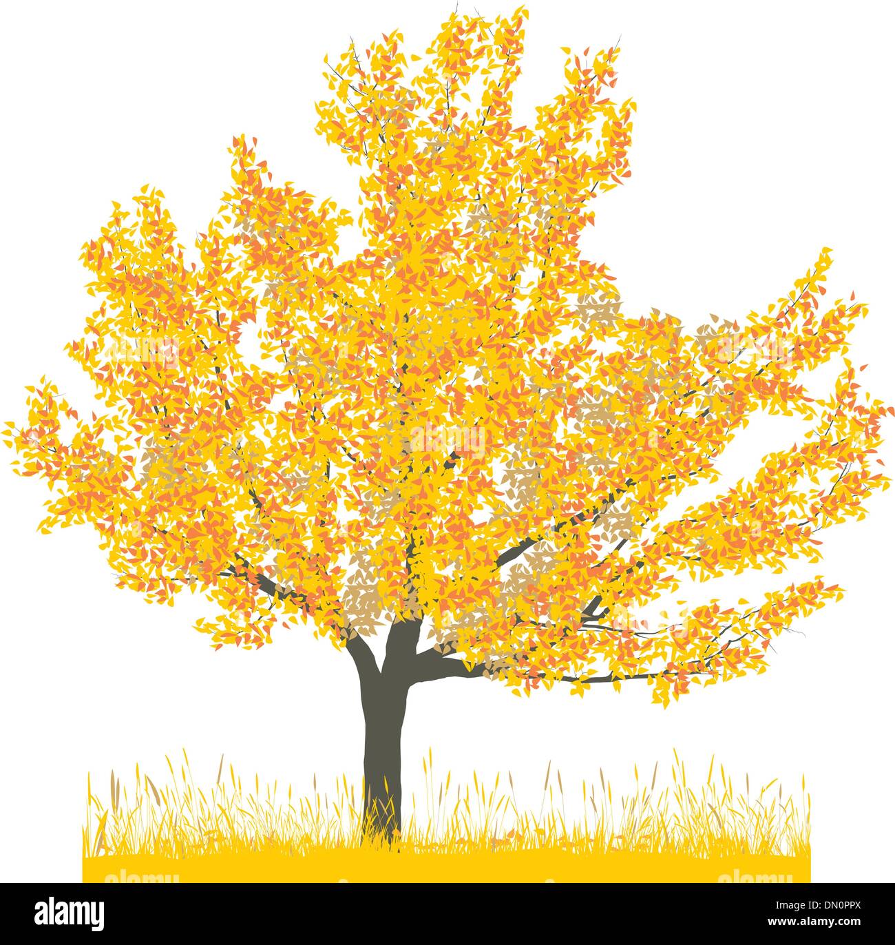 Cherry Tree in autumn Illustration de Vecteur