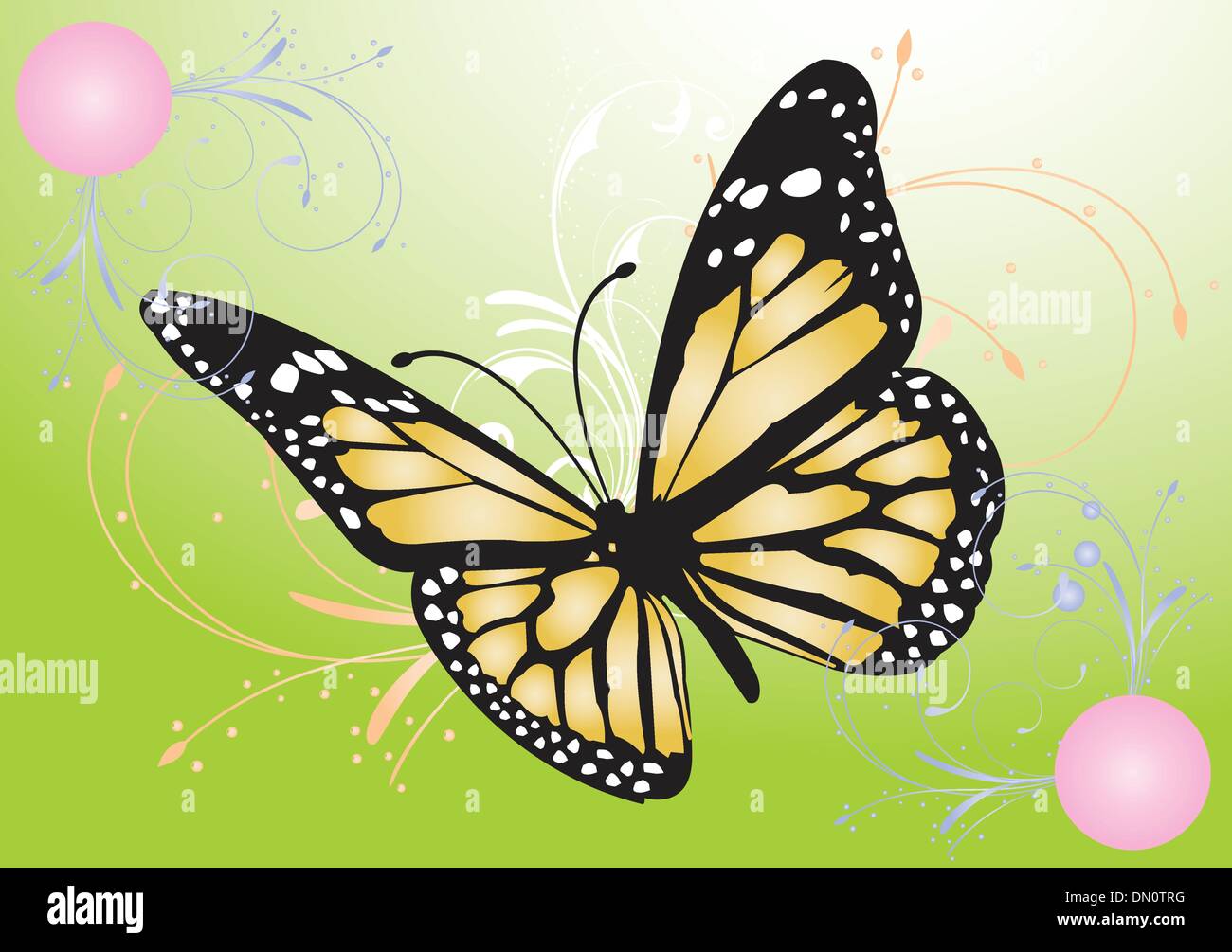 Image vectorielle d'un papillon Illustration de Vecteur Image vectorielle d'un papillon Illustration de Vecteur