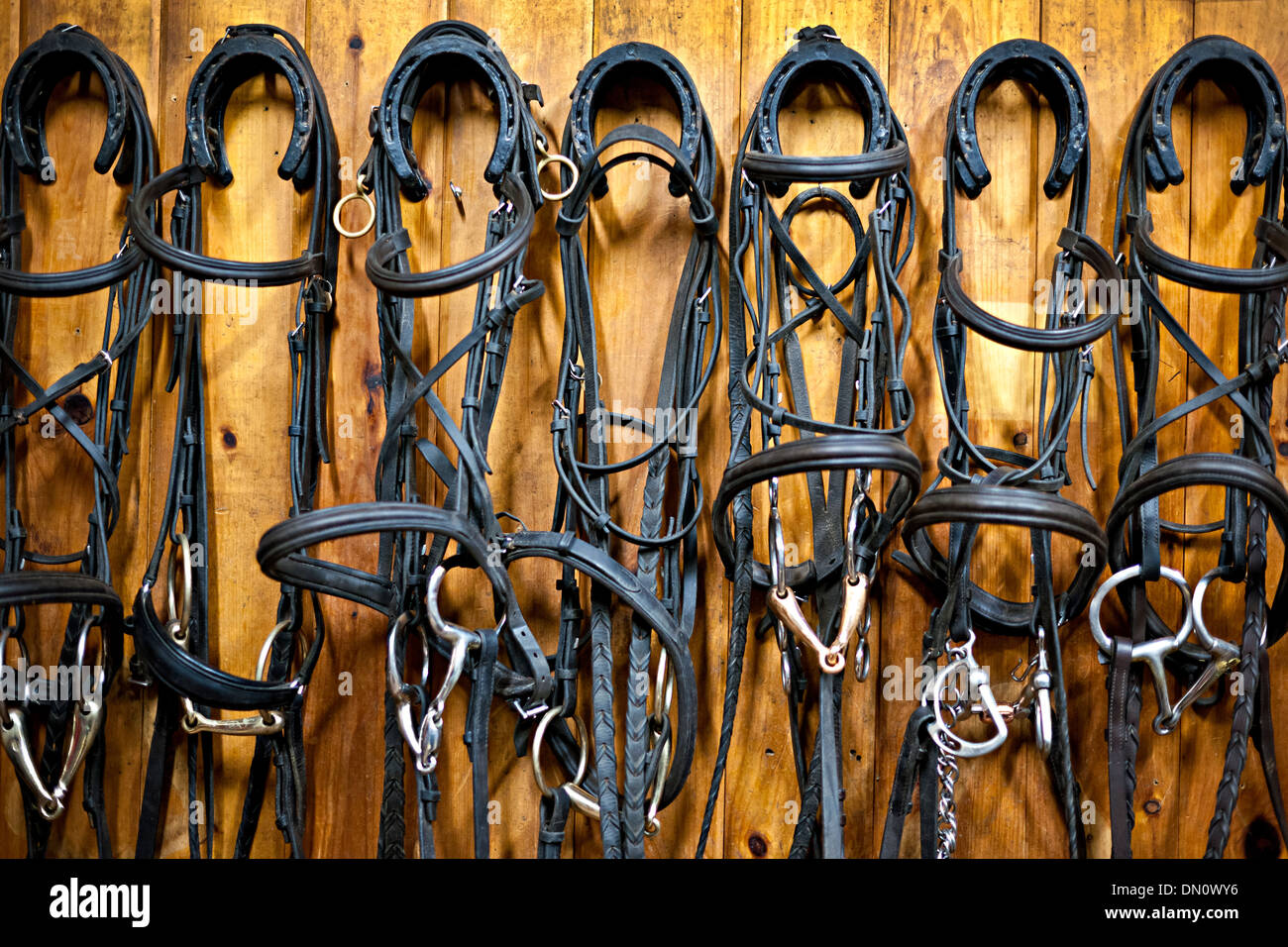 Un bouquet de fers à cheval rouillés accrochés à un mur en bois photo –  Photo Canada Gratuite sur Unsplash