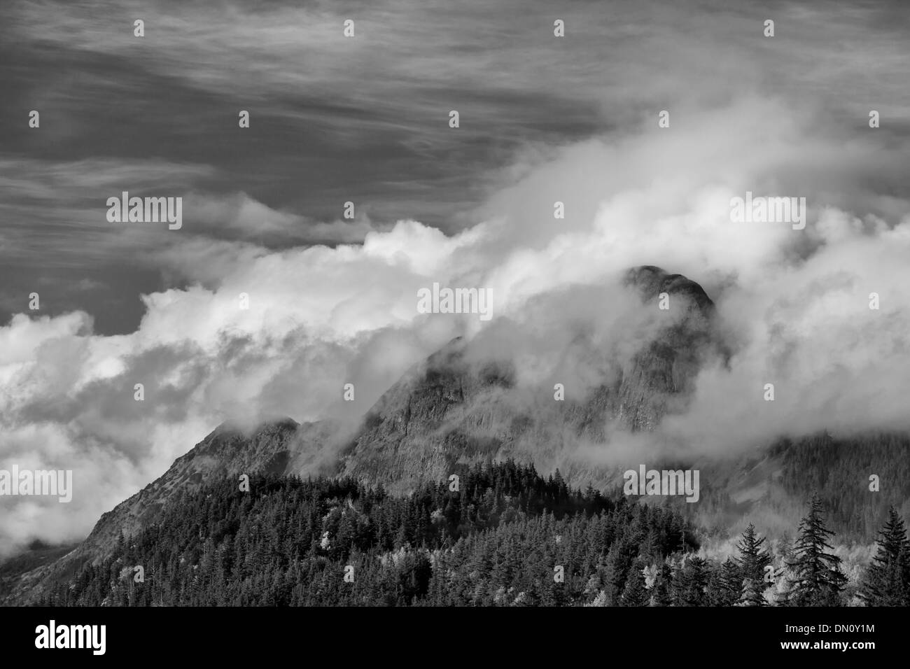 Misty montagnes de l'Alaska en noir et blanc. Banque D'Images