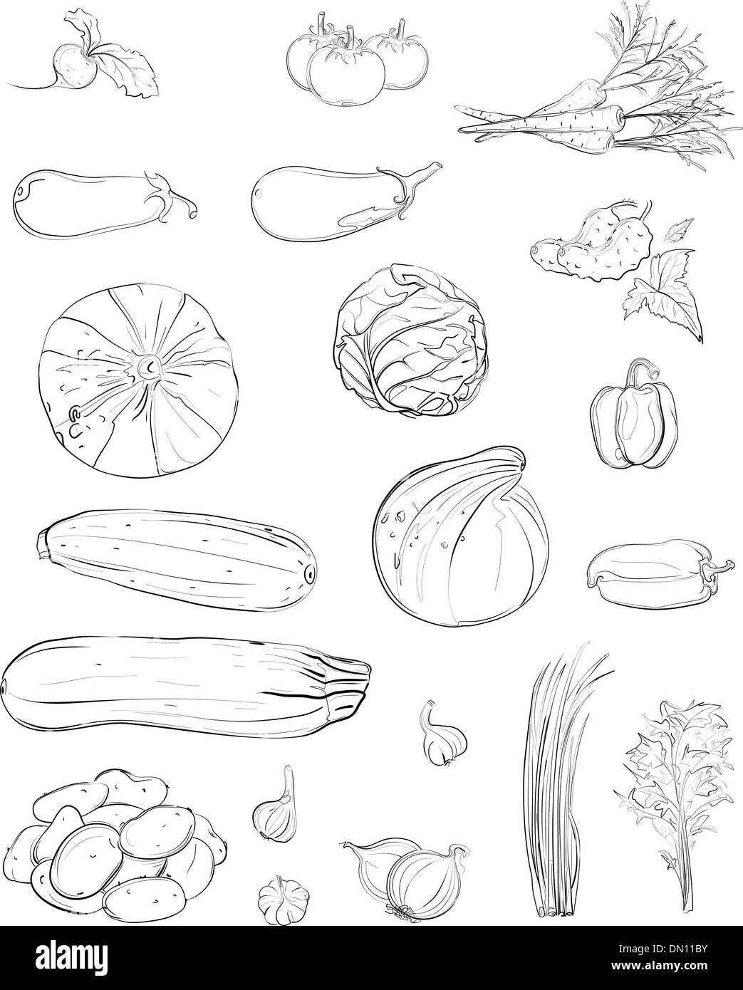 Légumes frais Collection de croquis Illustration de Vecteur