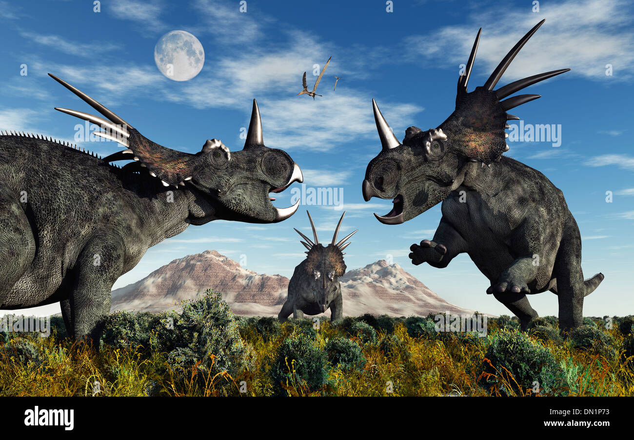 Styracosaurus Confrontation. Banque D'Images
