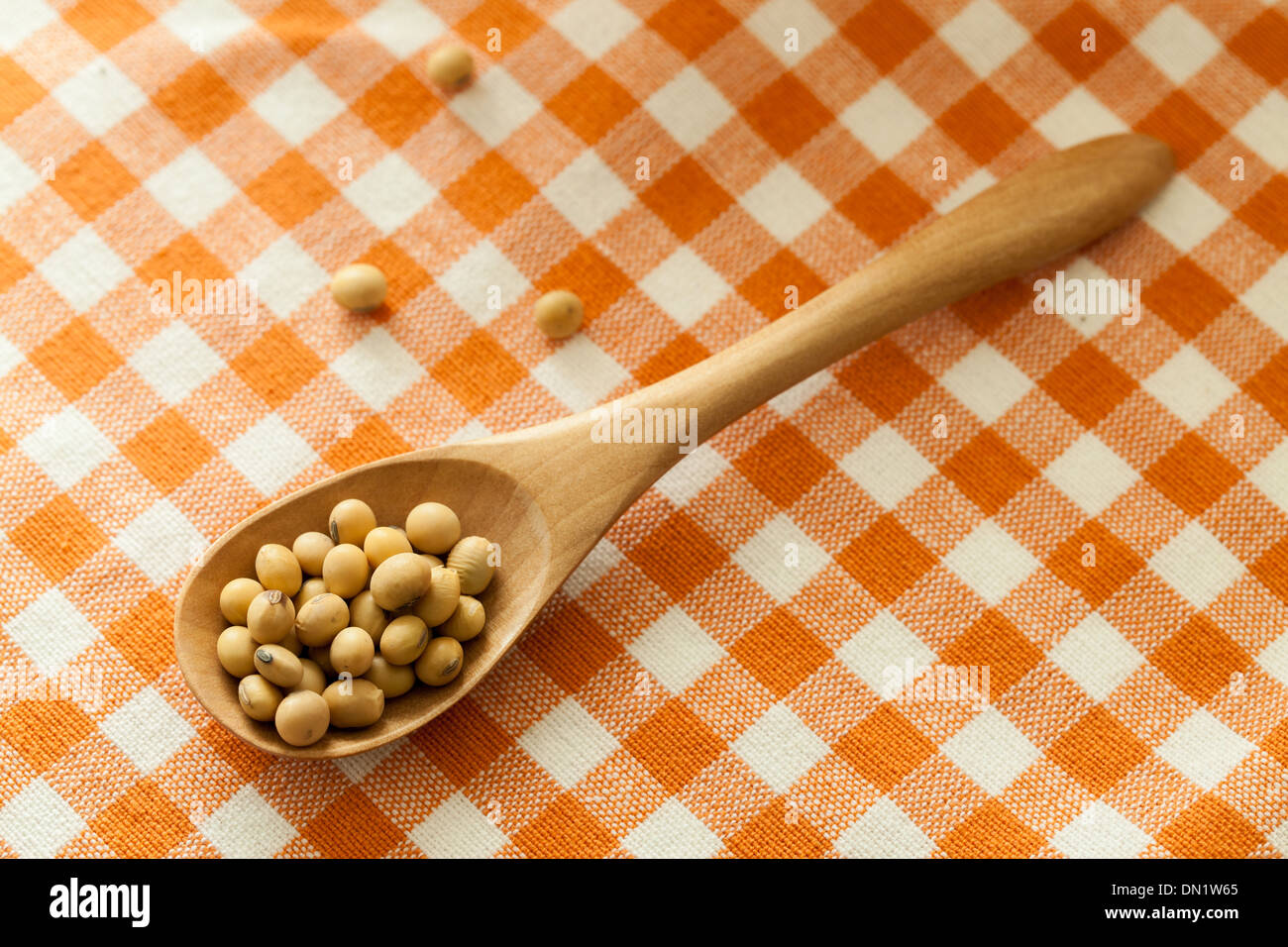 Soja Le tournage en studio Banque D'Images