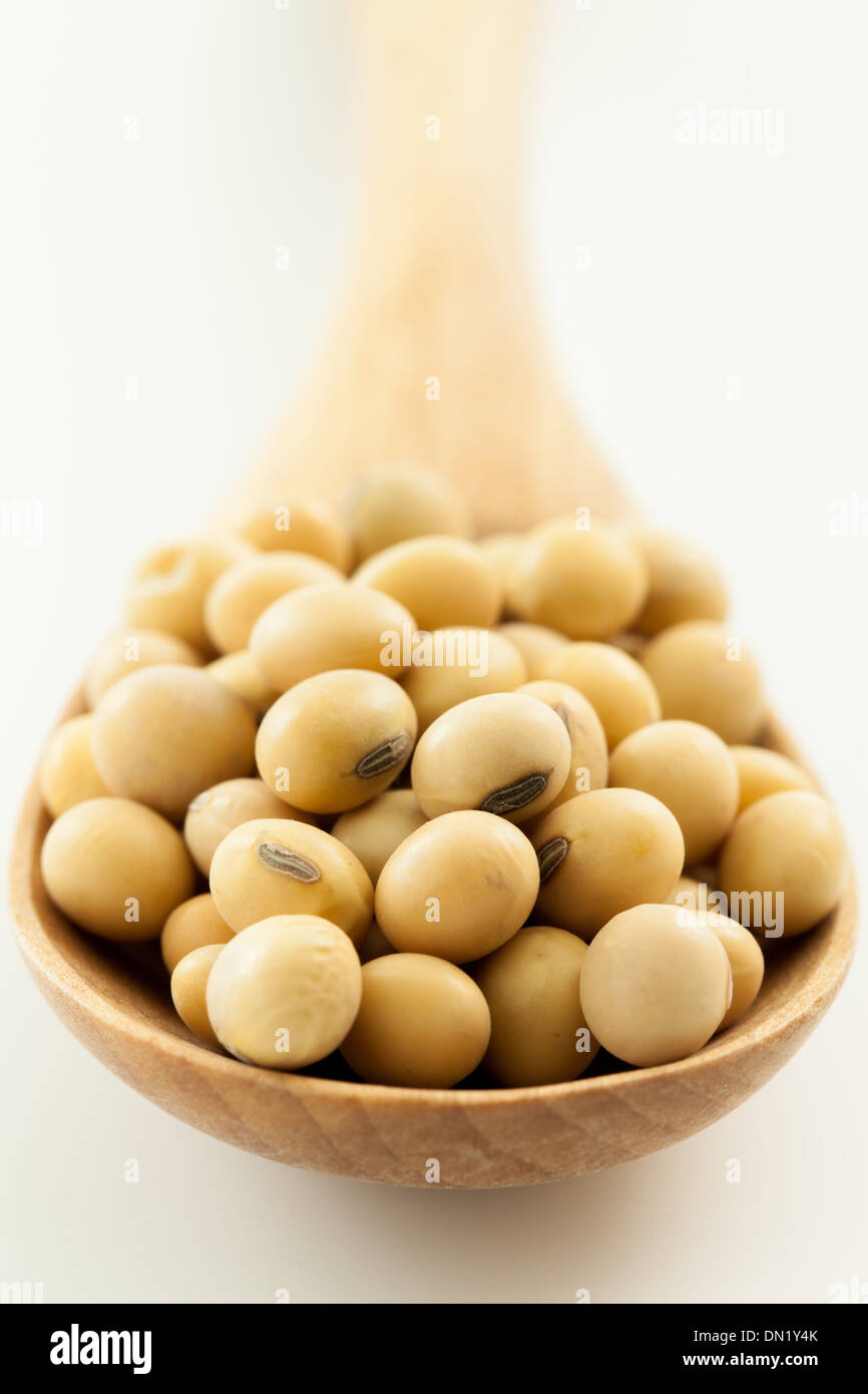 Soja Le tournage en studio Banque D'Images