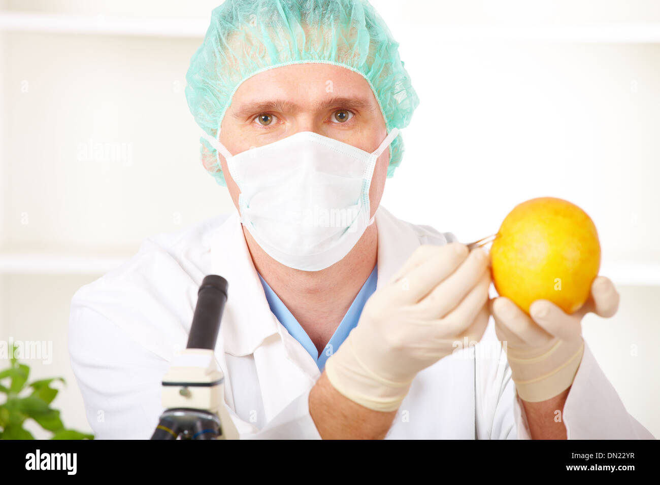 Un chercheur dans le laboratoire de légumes OGM Banque D'Images