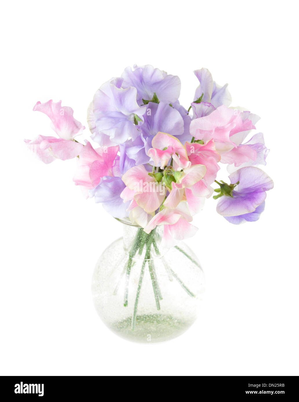Vase en verre clair avec l'arrangement de fleurs Pois Blanc sur isloated avec une faible profondeur de champ. Banque D'Images