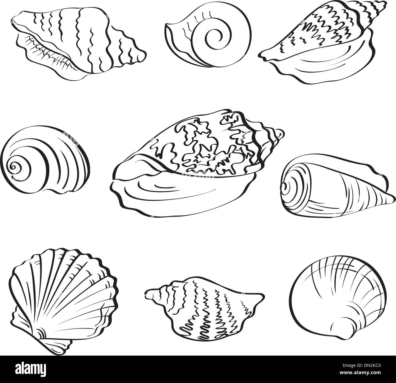 Mettre les coquillages, contours Illustration de Vecteur