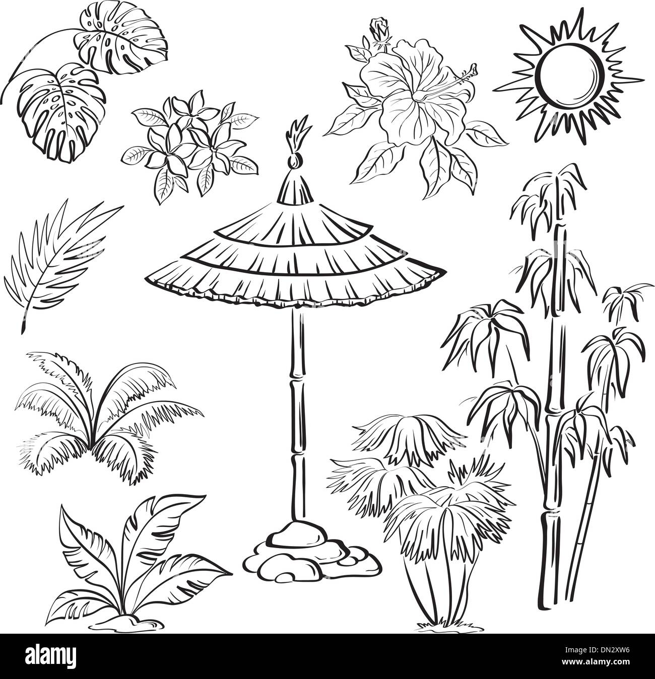 Ensemble d'objets exotiques, contours Illustration de Vecteur