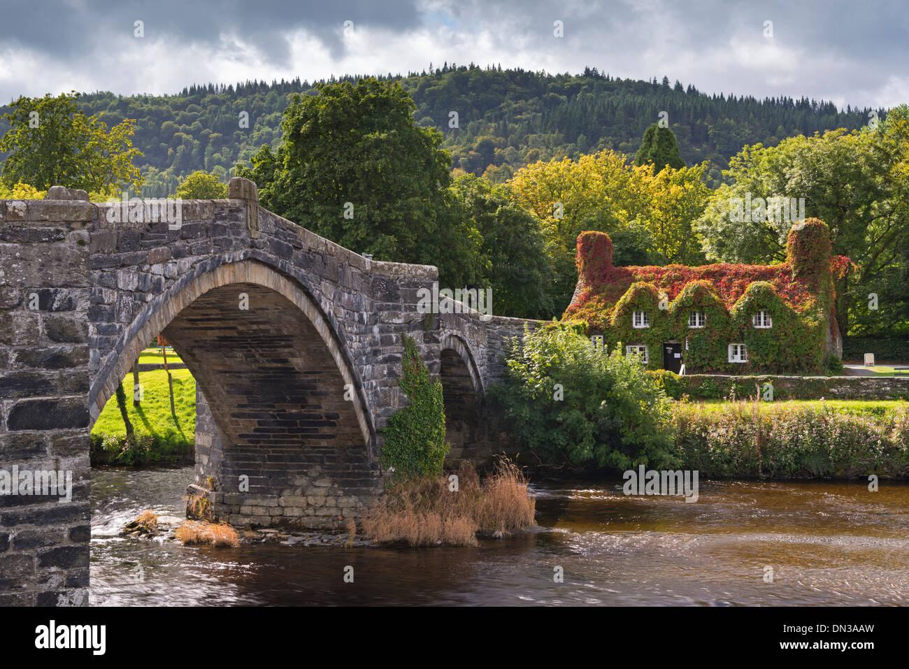 J'Ty Hwnt r Bont ivy cottage couverts et salons de thé à côté du pont en pierre traversant la rivière Conwy à Llanwrst, Galles Banque D'Images