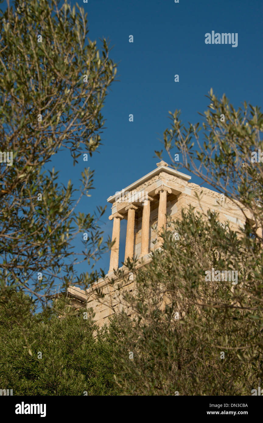 Grèce, Athènes, acropole. Olivier en face de ruines antiques. Banque D'Images