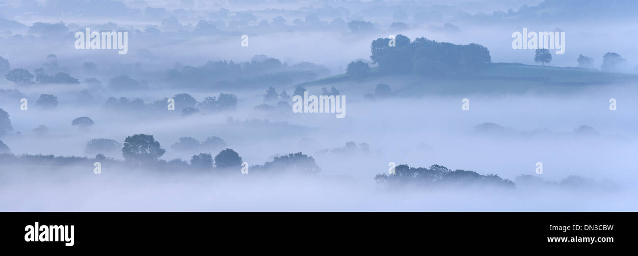 Mist couverts campagne de Somerset Levels, Wells, Somerset, Angleterre. L'automne (septembre) 2013. Banque D'Images