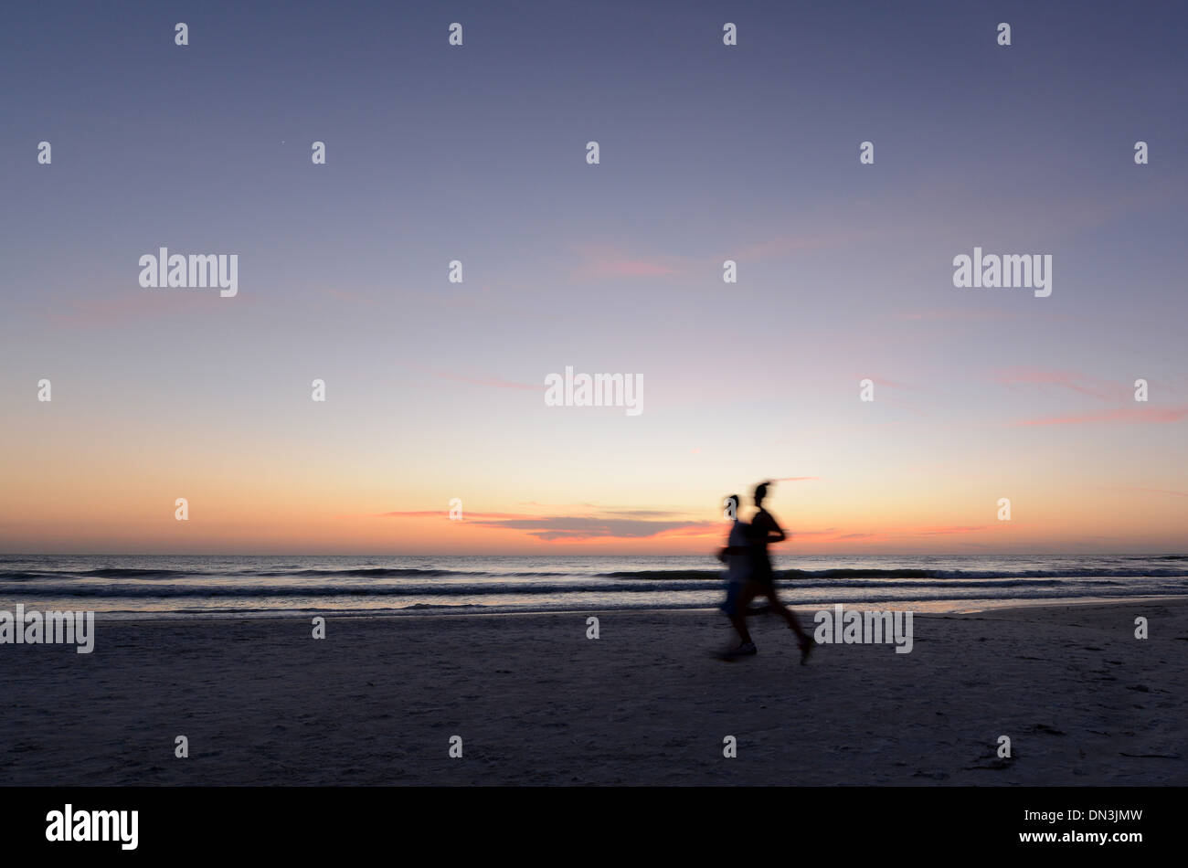L'exécution de la plage au coucher du soleil Siesta Key, en Floride. Banque D'Images L'exécution de la plage au coucher du soleil Siesta Key, en Floride. Banque D'Images