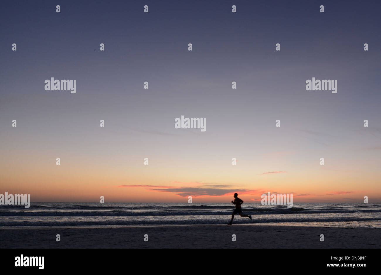 L'exécution de la plage au coucher du soleil Siesta Key, en Floride. Banque D'Images L'exécution de la plage au coucher du soleil Siesta Key, en Floride. Banque D'Images