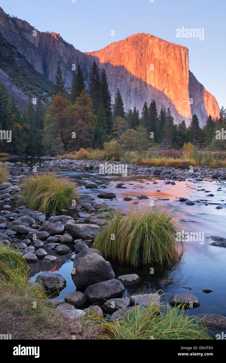 Soleil du soir sur El Capitan au-dessus de la rivière Merced, Yosemite Valley, Yosemite National Park, California, USA. Banque D'Images