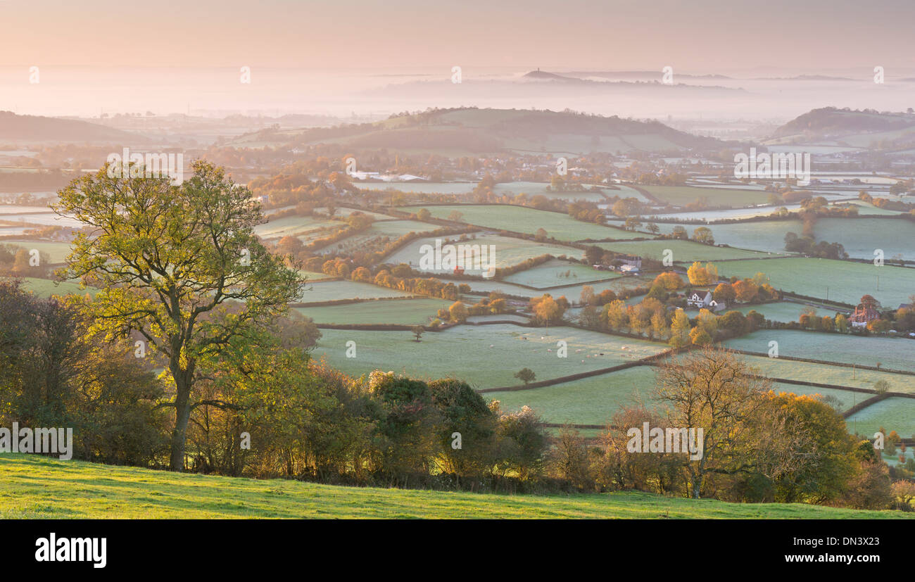 Misty Glastonbury Tor et le Somerset Levels de la collines de Mendip, Somerset, Angleterre. L'automne (novembre) 2013. Banque D'Images