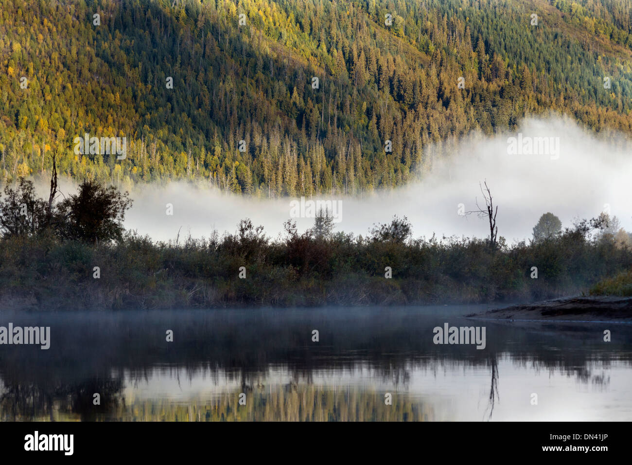 Brume sur la rivière Mitchell et couleurs d'automne, région de Cariboo-Chilcotin, Colombie-Britannique Banque D'Images