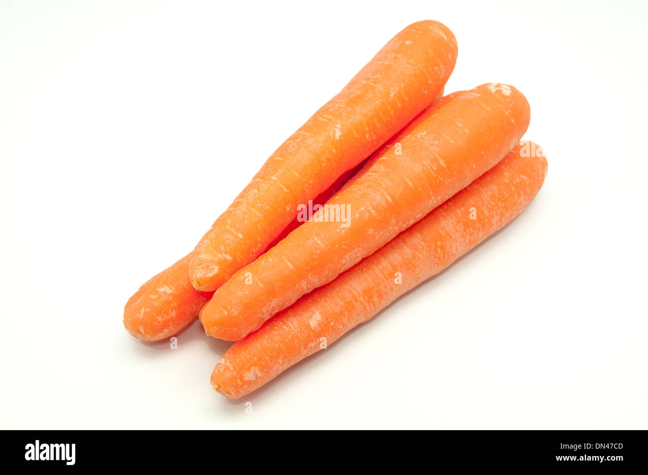 Des carottes sur un fond blanc Banque D'Images