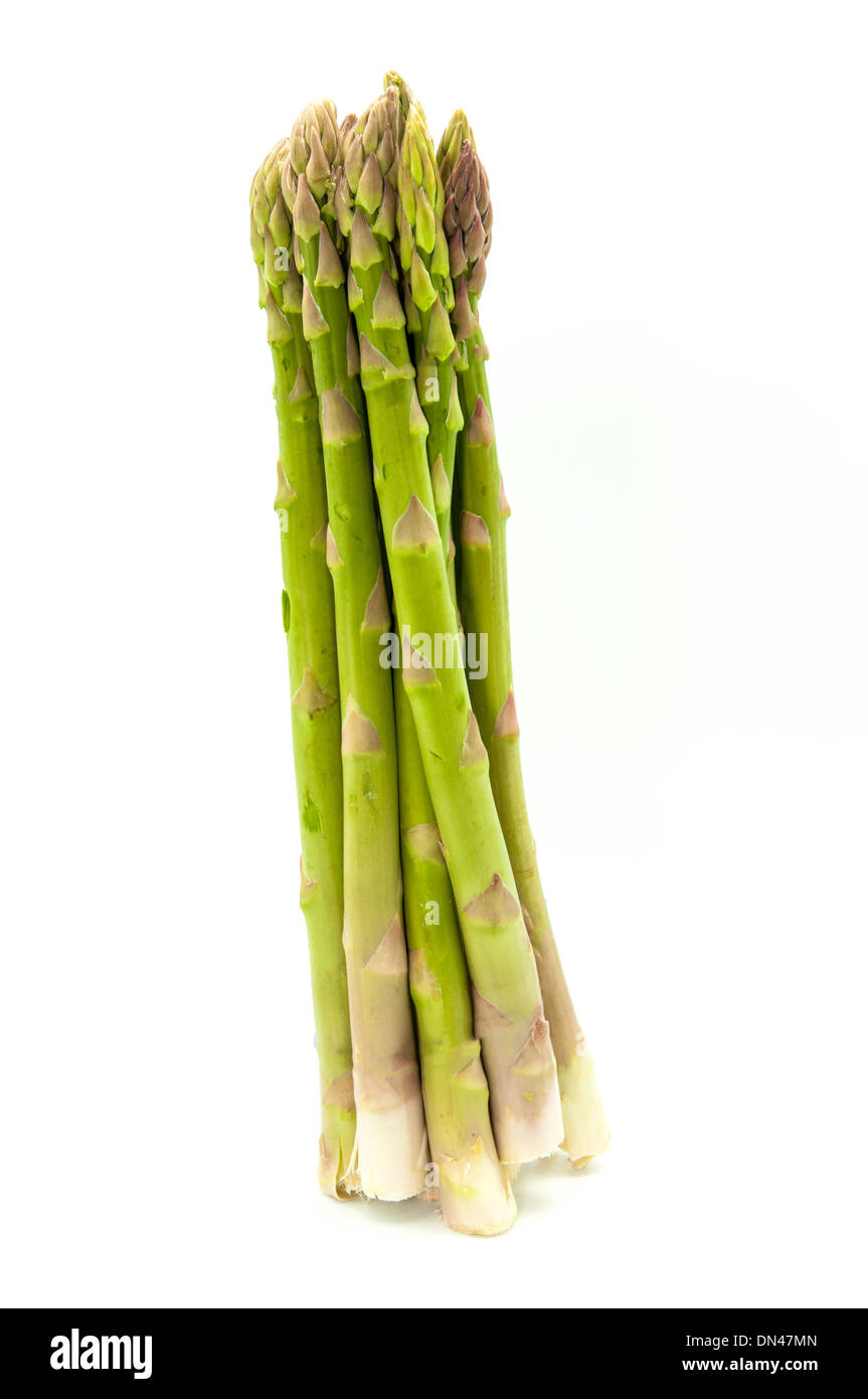 Asperges vertes sur fond blanc Banque D'Images