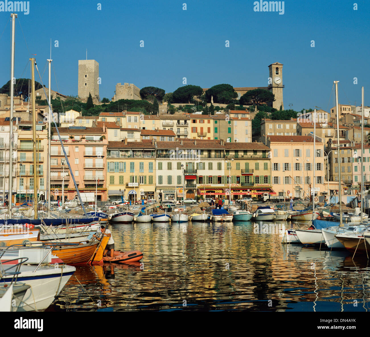 Vue sur le Vieux Port, Cannes, Alpes-Maritimes, France Banque D'Images