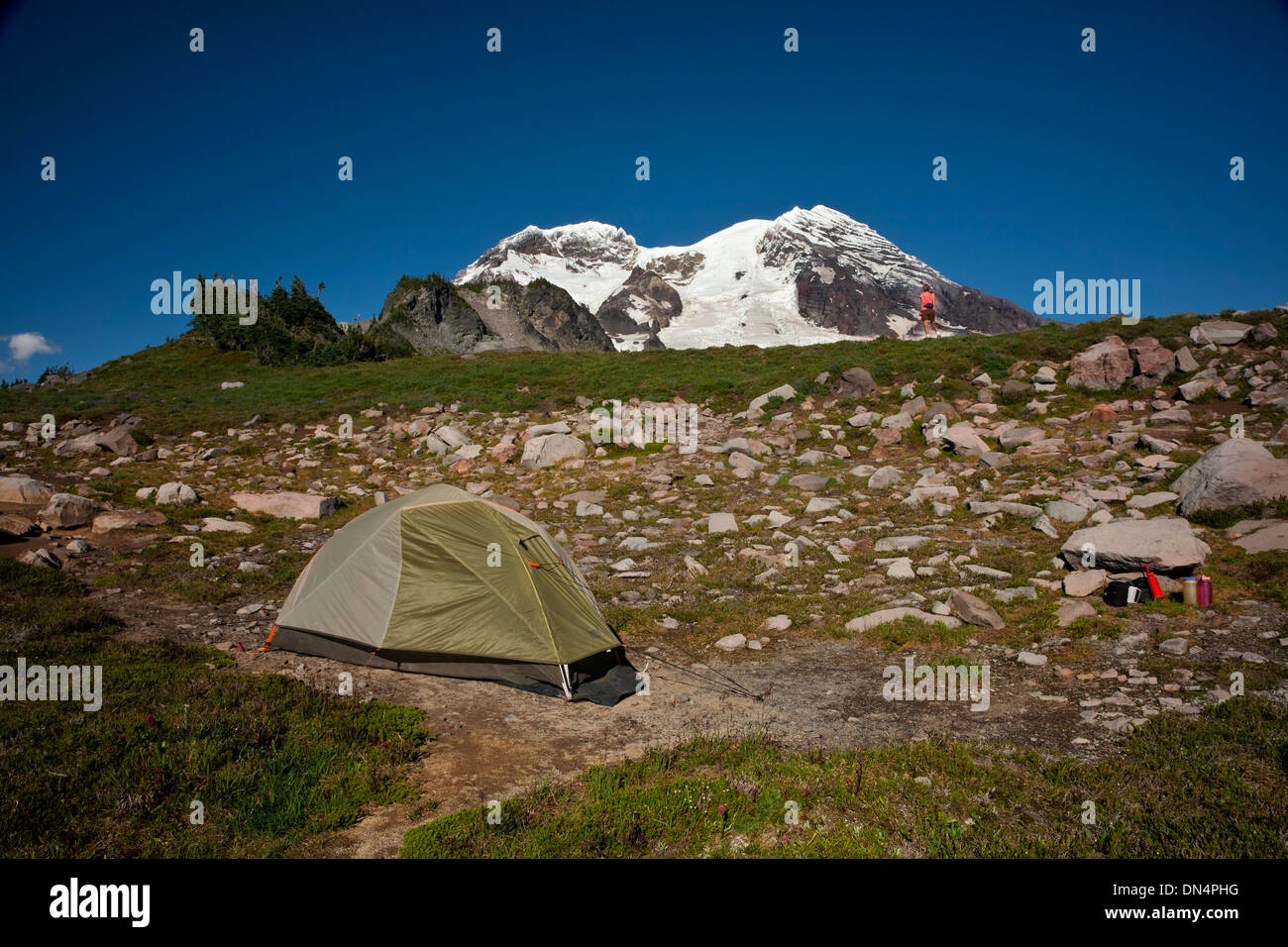 WASHINGTON - Camping dans les prés de l'Tokaloo Zone alpine du mont Rainier National Park. Banque D'Images