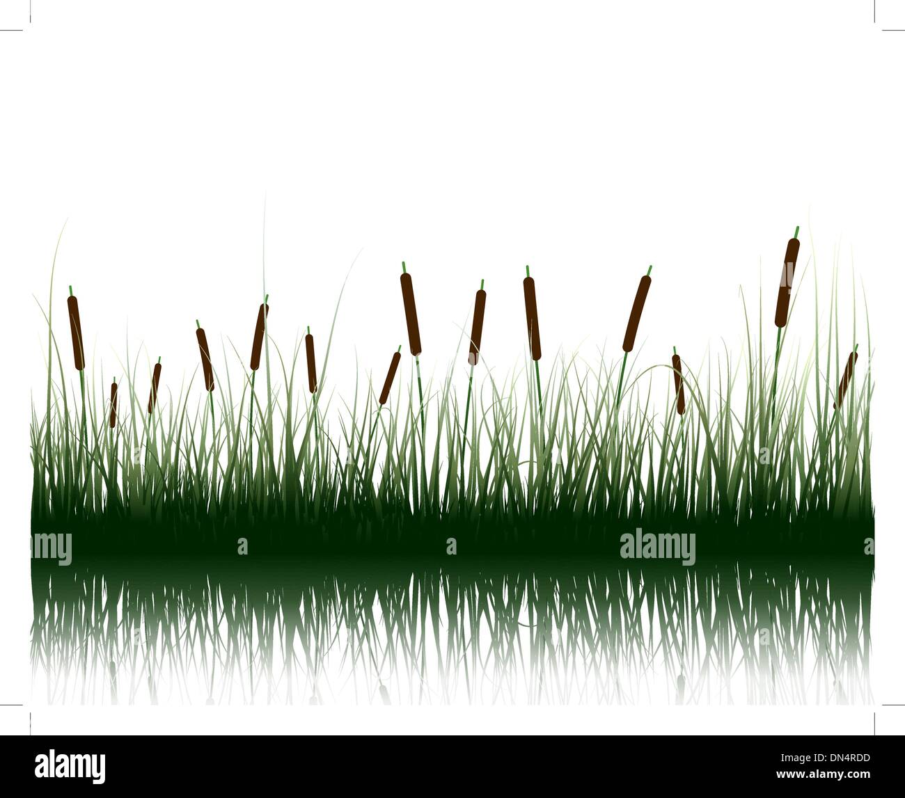 De l'herbe avec des réflexions dans l'eau Illustration de Vecteur