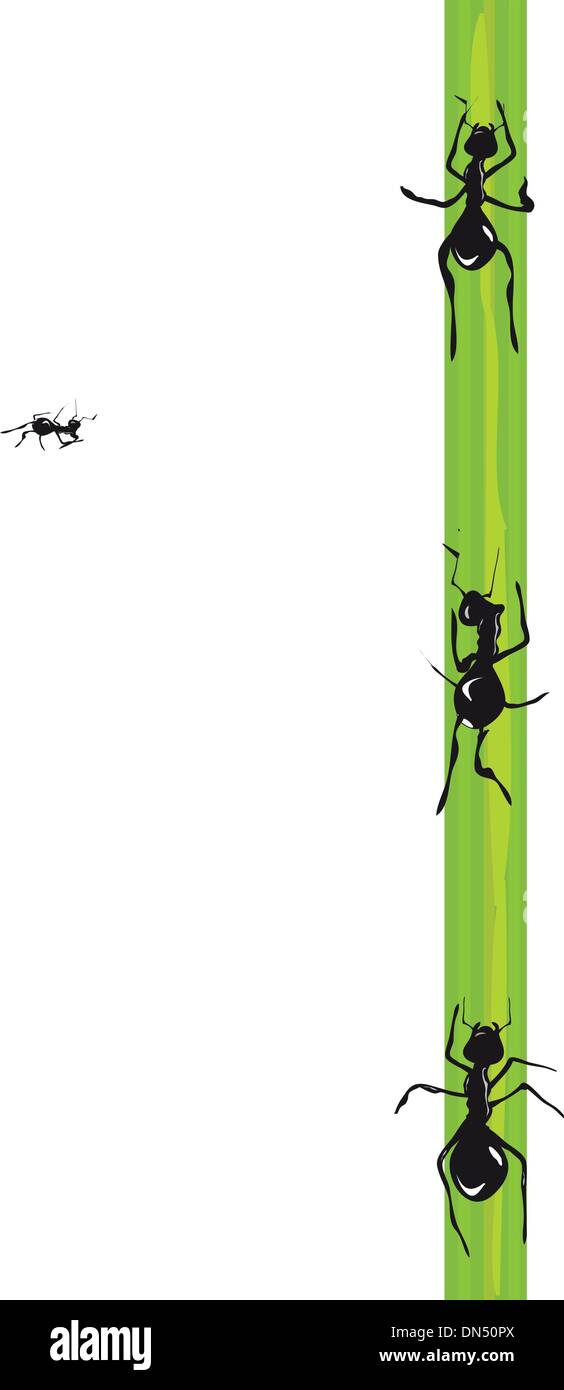 Fourmis. Vector. Illustration de Vecteur