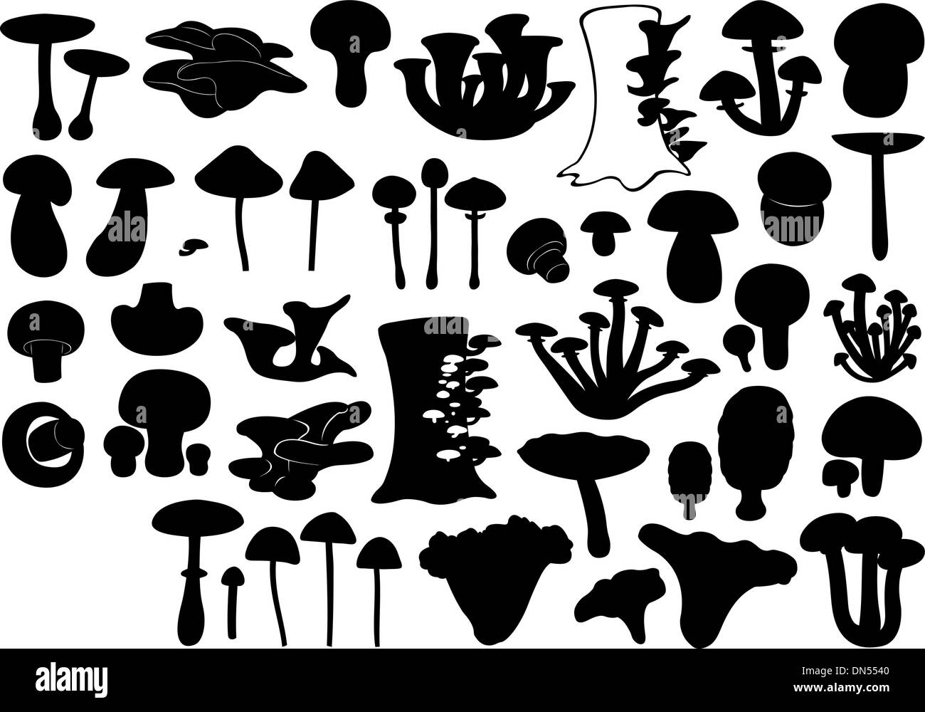 Ensemble de champignons différents Illustration de Vecteur