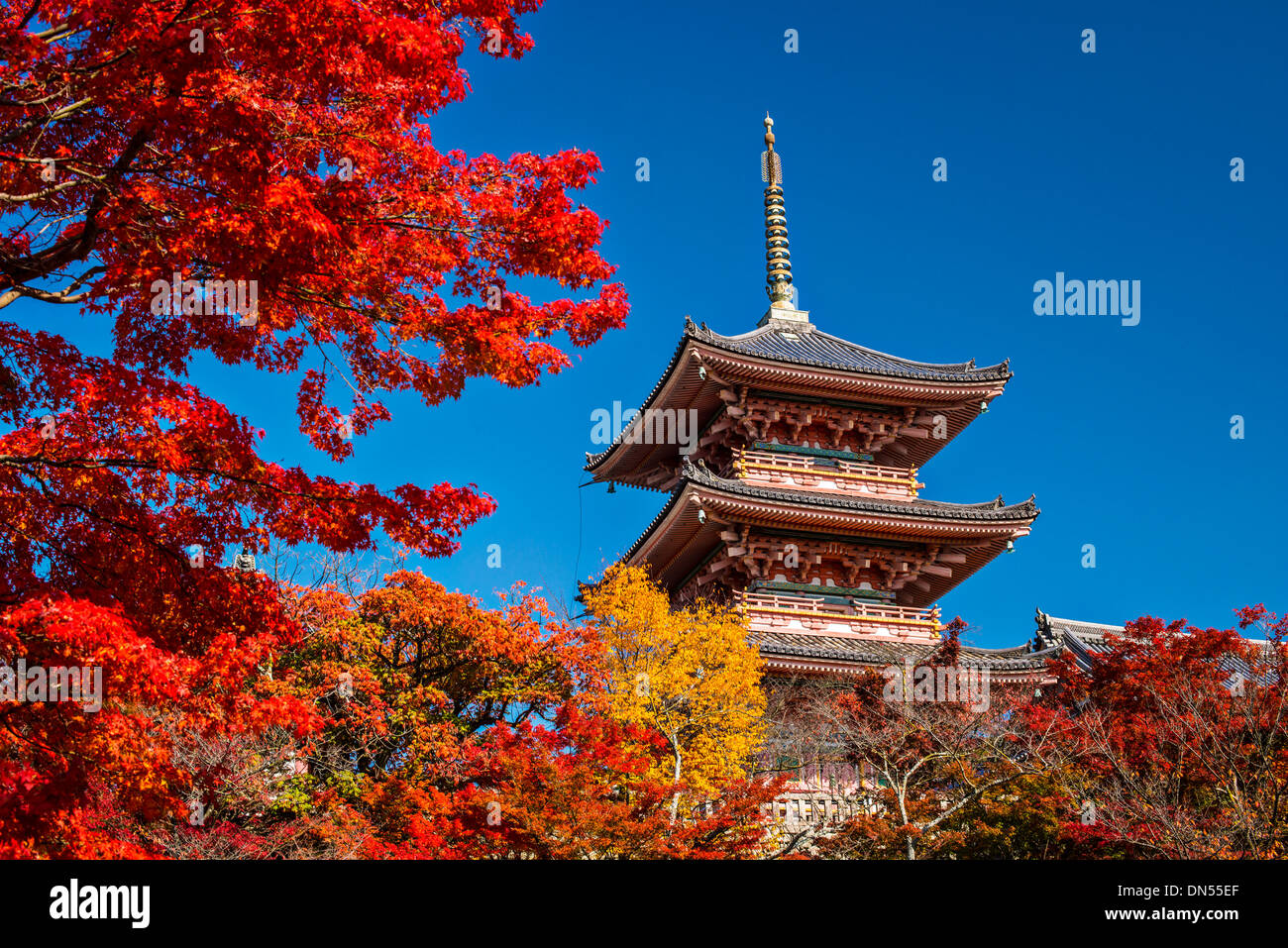 Temple Kiyomizu-dera à Kyoto au Japon. Banque D'Images