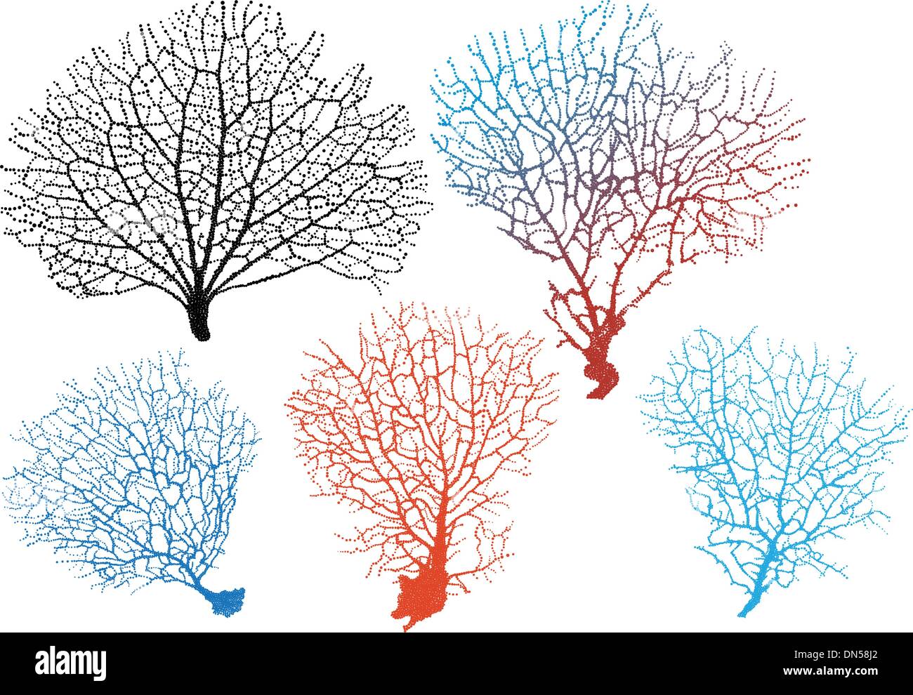 D'éventails de mer, coraux vector set Illustration de Vecteur
