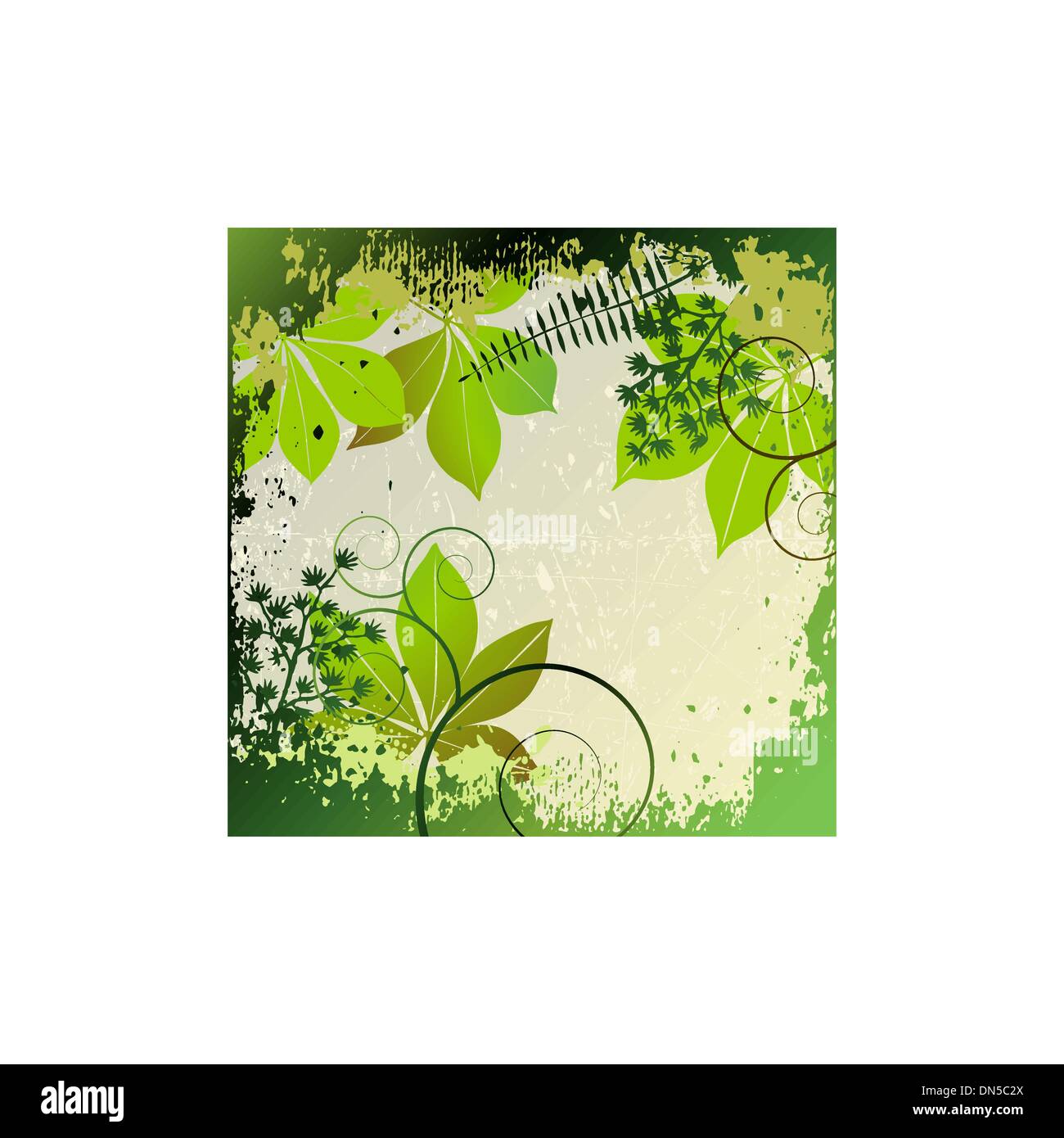 Grunge frame avec des éléments végétaux Illustration de Vecteur
