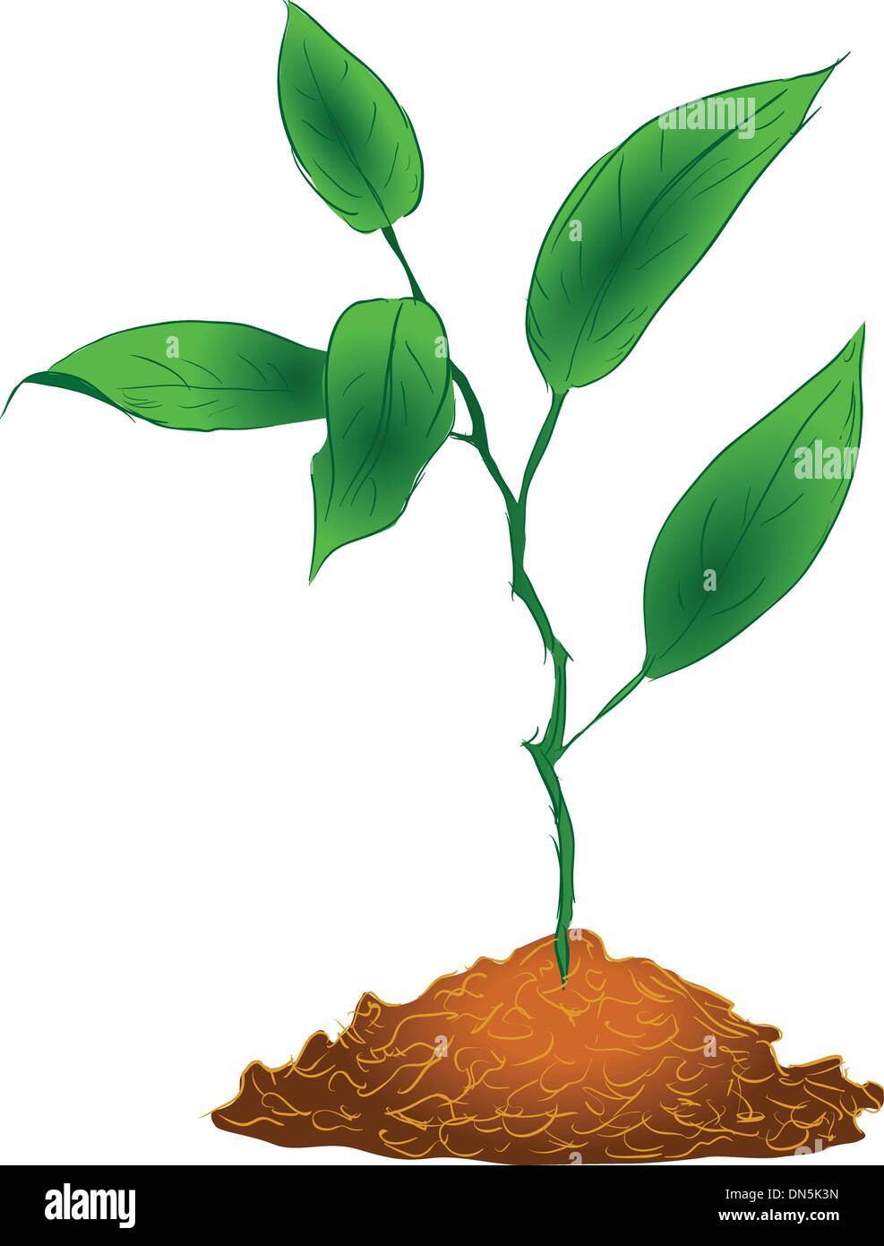 La figure des brindilles sprout Illustration de Vecteur